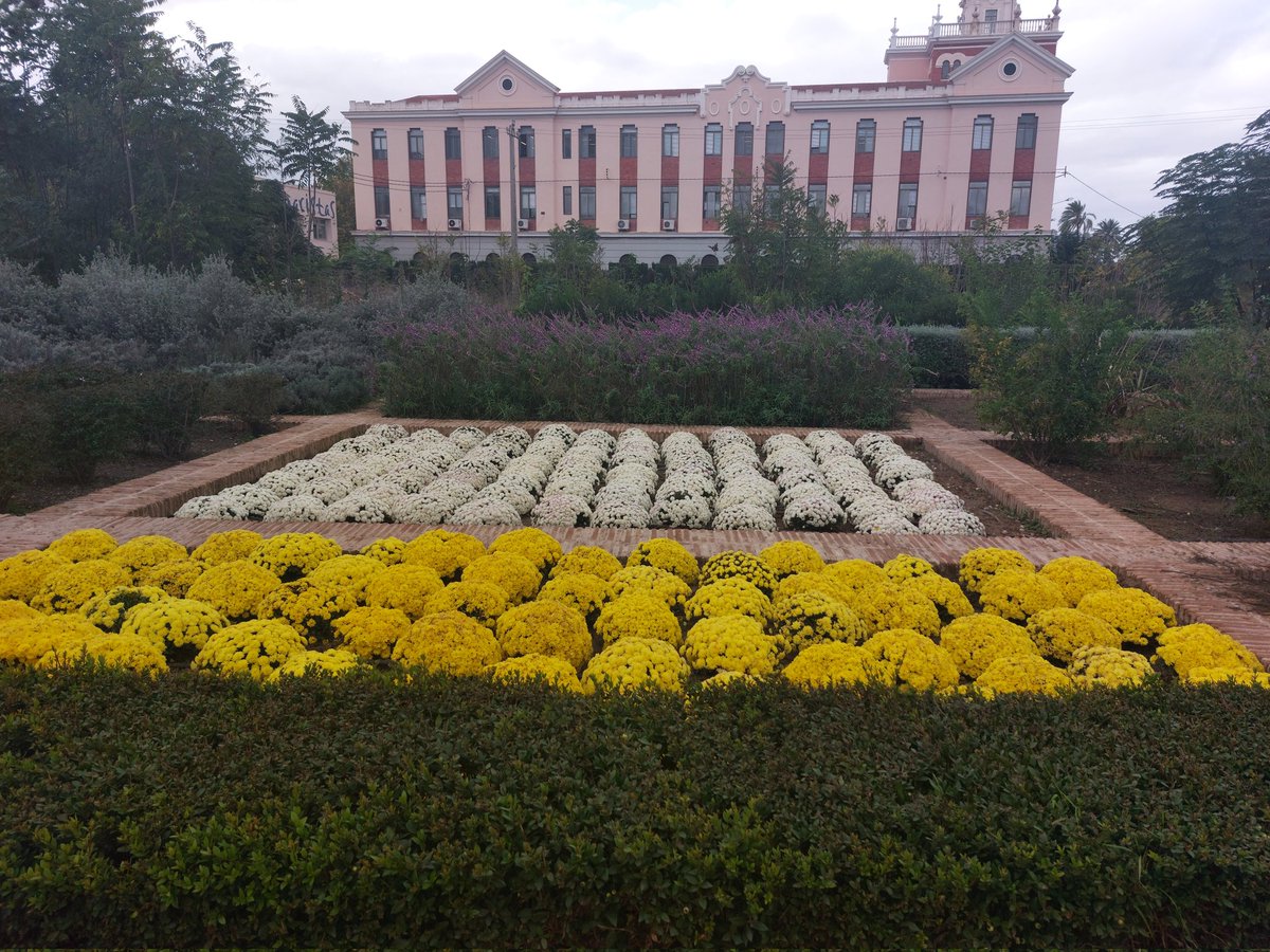 AavvSu's tweet photo. El Jardín de los Álamos hoy junto al talud de la Autovía del Malecón, un ejemplo de parque con vegetación de ribera y plantas autóctonas  junto al río, que en caso de una posible  inundación ejercería un papel protector. Además conforma un bello paisaje. https://t.co/vEO4EVKSGK