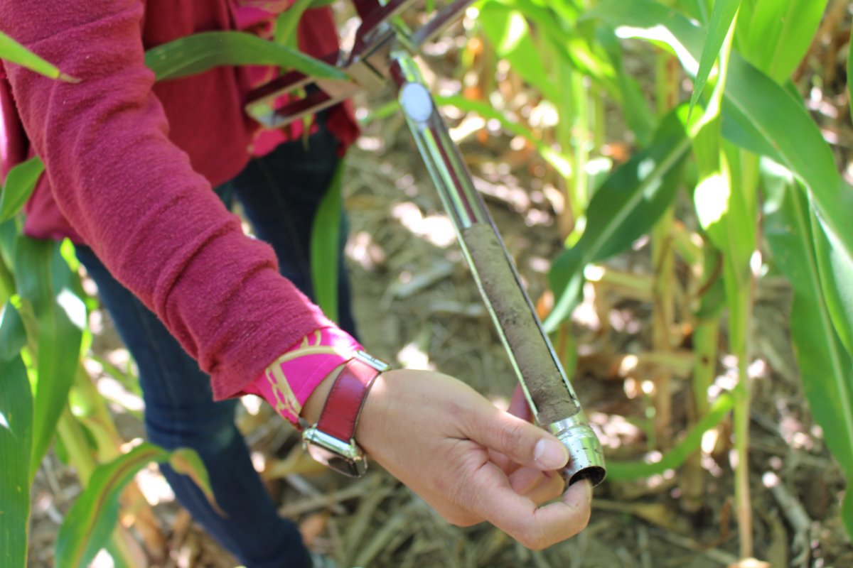 Plan to attend the Agricultural Research Station tour at Summit?

Xia Zhu-Barker will showcase developments in her Campus-wide long-term lysimeter network in Wisconsin with Matt Ruark.

Learn about the project at ow.ly/9YlS50U7RUi

Register now 👉 ow.ly/ZbcK50U7RUc