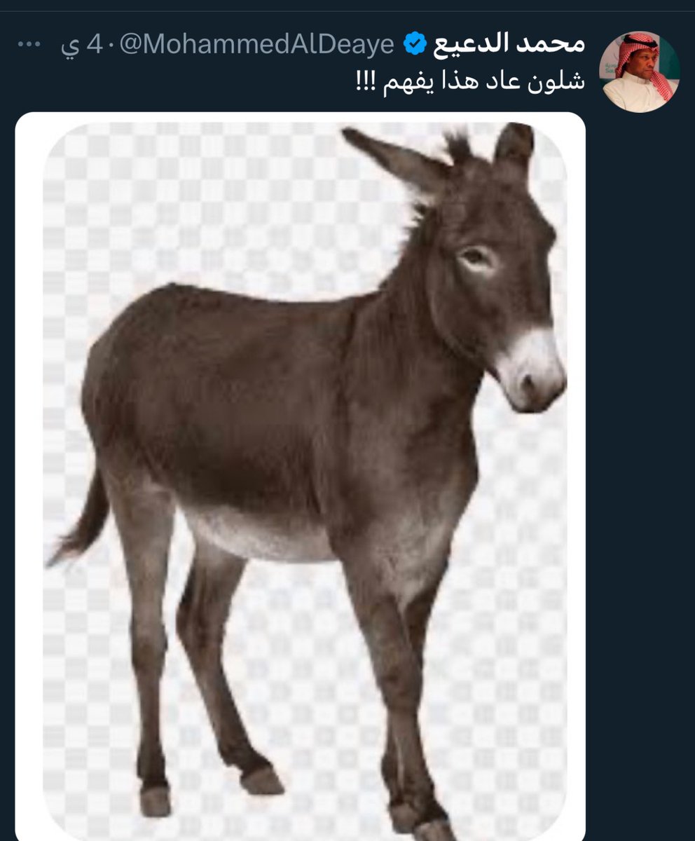 الكوتش عمار tweet media