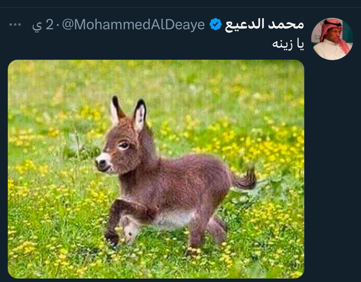 الكوتش عمار tweet media