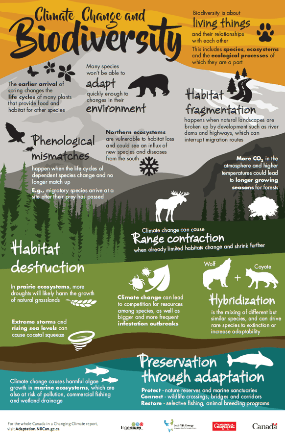 UN Biodiversity tweet media