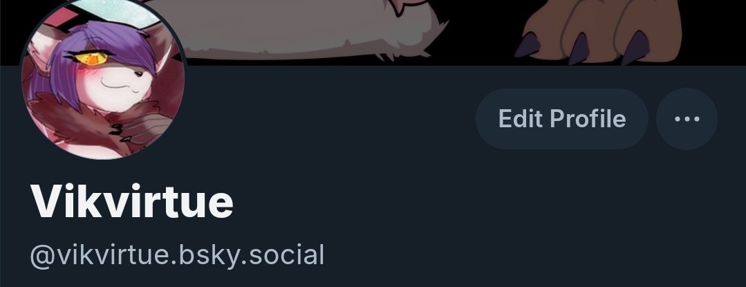 vikvirtue tweet media