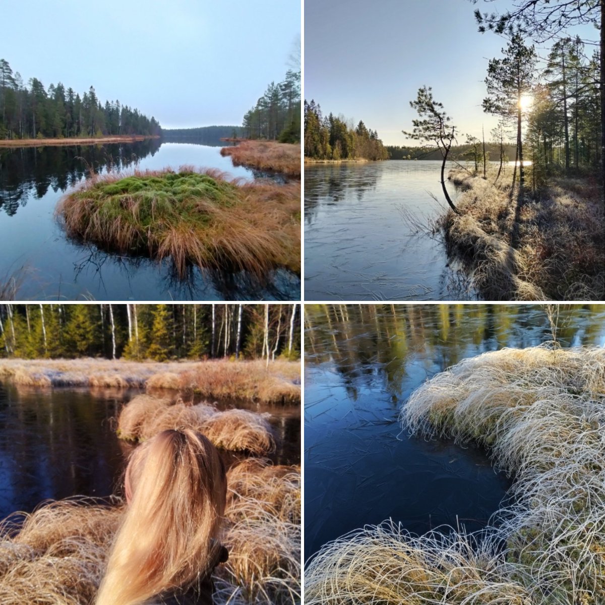 Maanhalla's tweet photo. 🧡Suojärven marraskuu🧡 https://t.co/RmCmbccwCQ