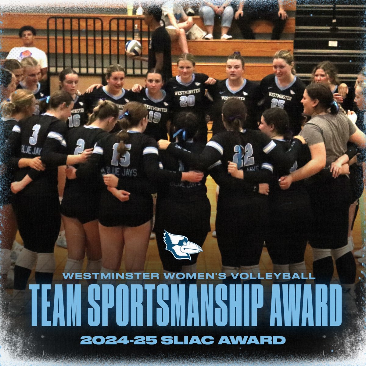 WC_BlueJays's tweet photo. HUGE CONGRATS to our Westminster Women’s Volleyball team! 
SLIAC’s Player of the Year: Kylie Hasselbacher✅
SLIAC’s Coach of the Year: Dalton Tucker✅
SLIAC’s Team Sportsmanship✅
Cheer them on in the semifinals TOMORROW at 4 PM in Greenville, Illinois! https://t.co/134eKAby6W