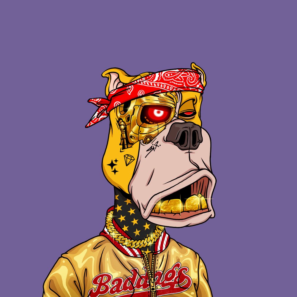 Bad Dogs Company tweet media