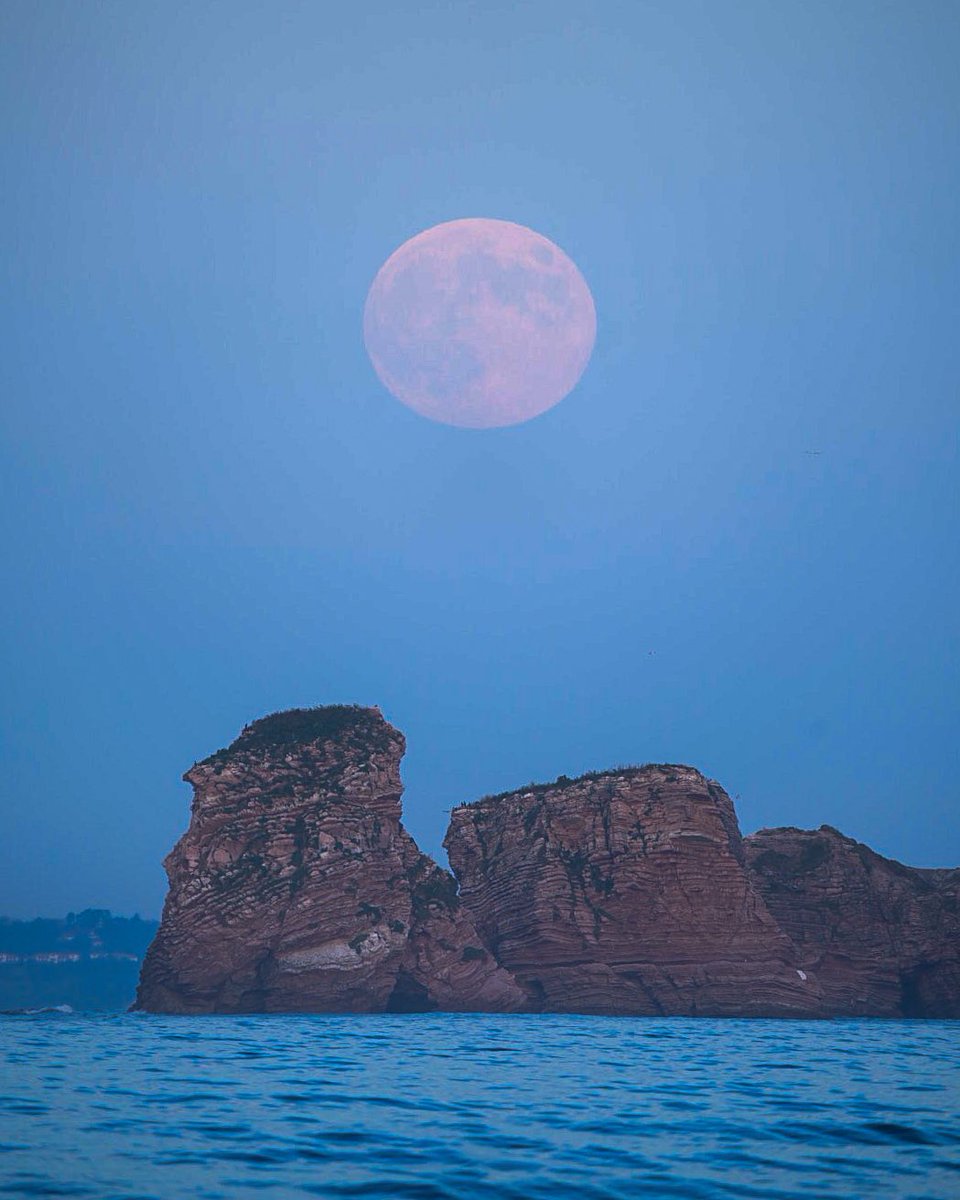 emporioefikz tweet media