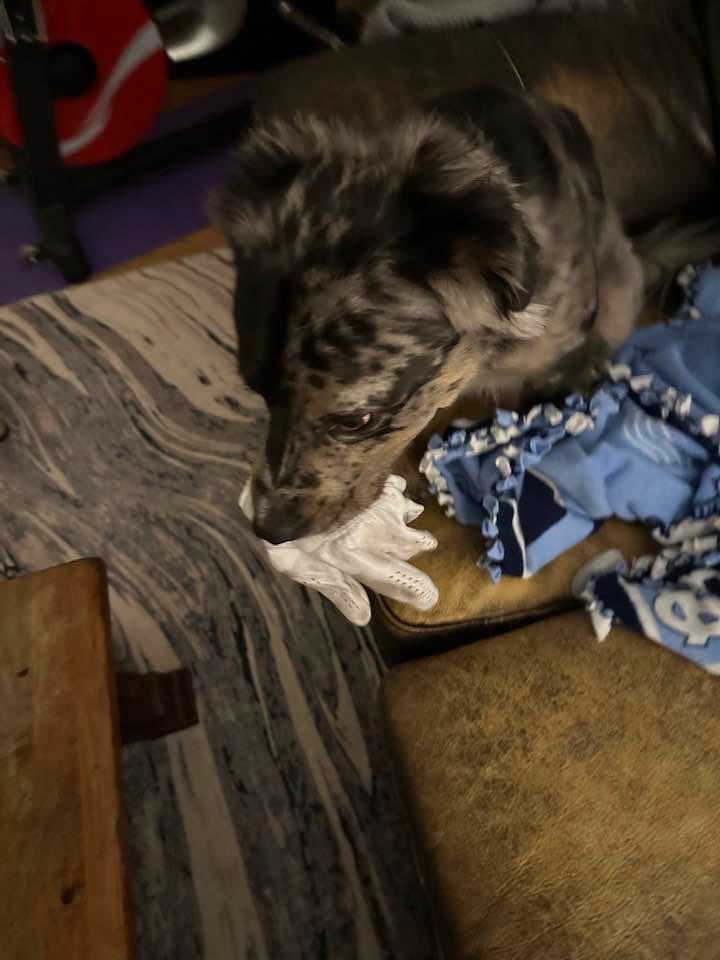 Drew Haywood tweet media