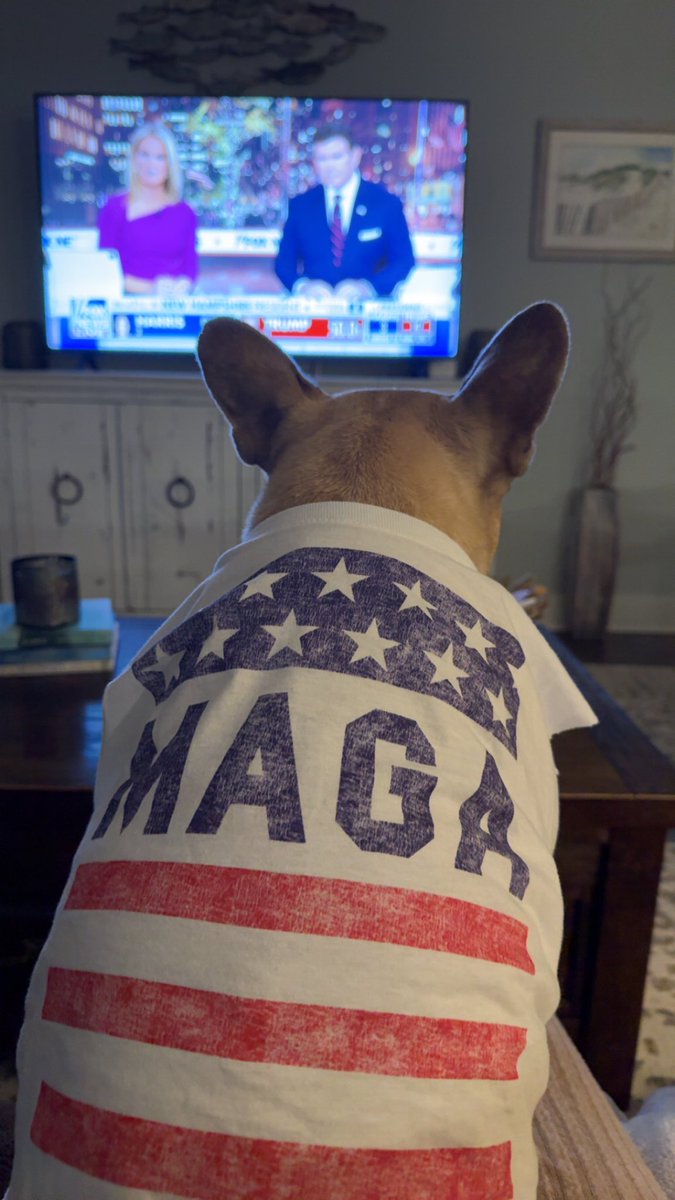 DanniDHarris's tweet photo. @marthamaccallum @BretBaier As always @FoxNews provided the best election night coverage. Even Peaches my frenchie loved it ❤️🤍💙🇺🇸 thank you @marthamaccallum and @BretBaier https://t.co/z5Rz1nvxWS