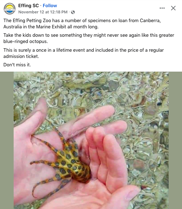 "A once in a lifetime event." Perfection.