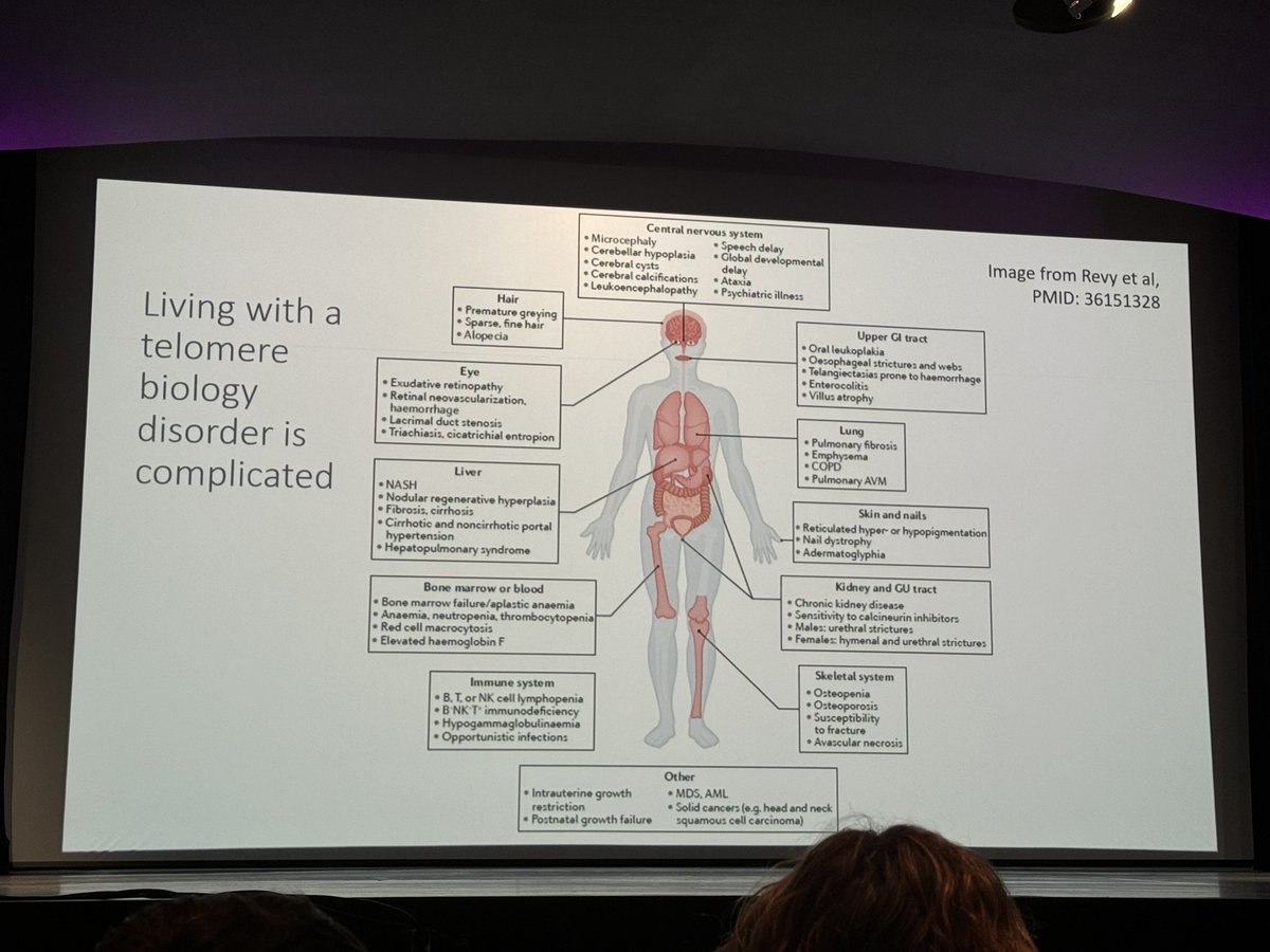Emma M. Groarke tweet media