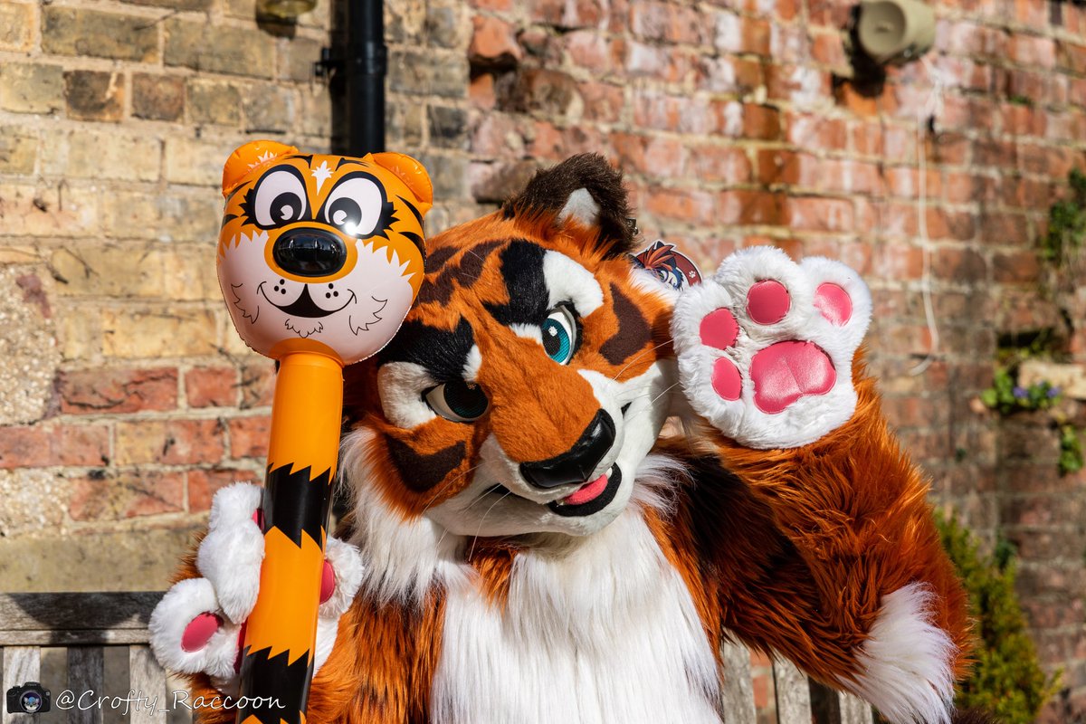 Double tiger trouble for #FursuitFriday! Thanks to <a href="/Crofty_Raccoon/">crofty_raccoon</a> for the photo.