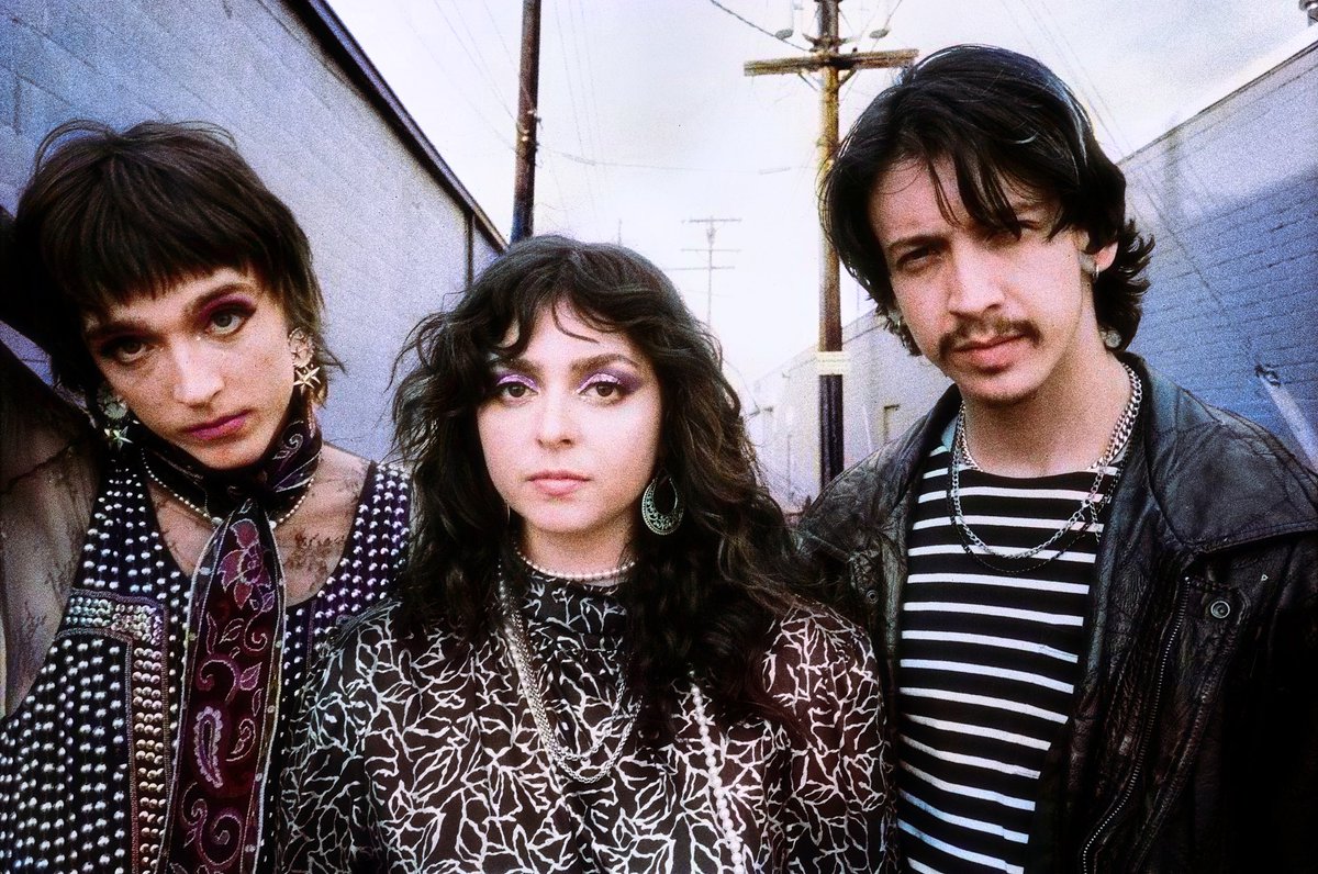 The Velveteers tweet media
