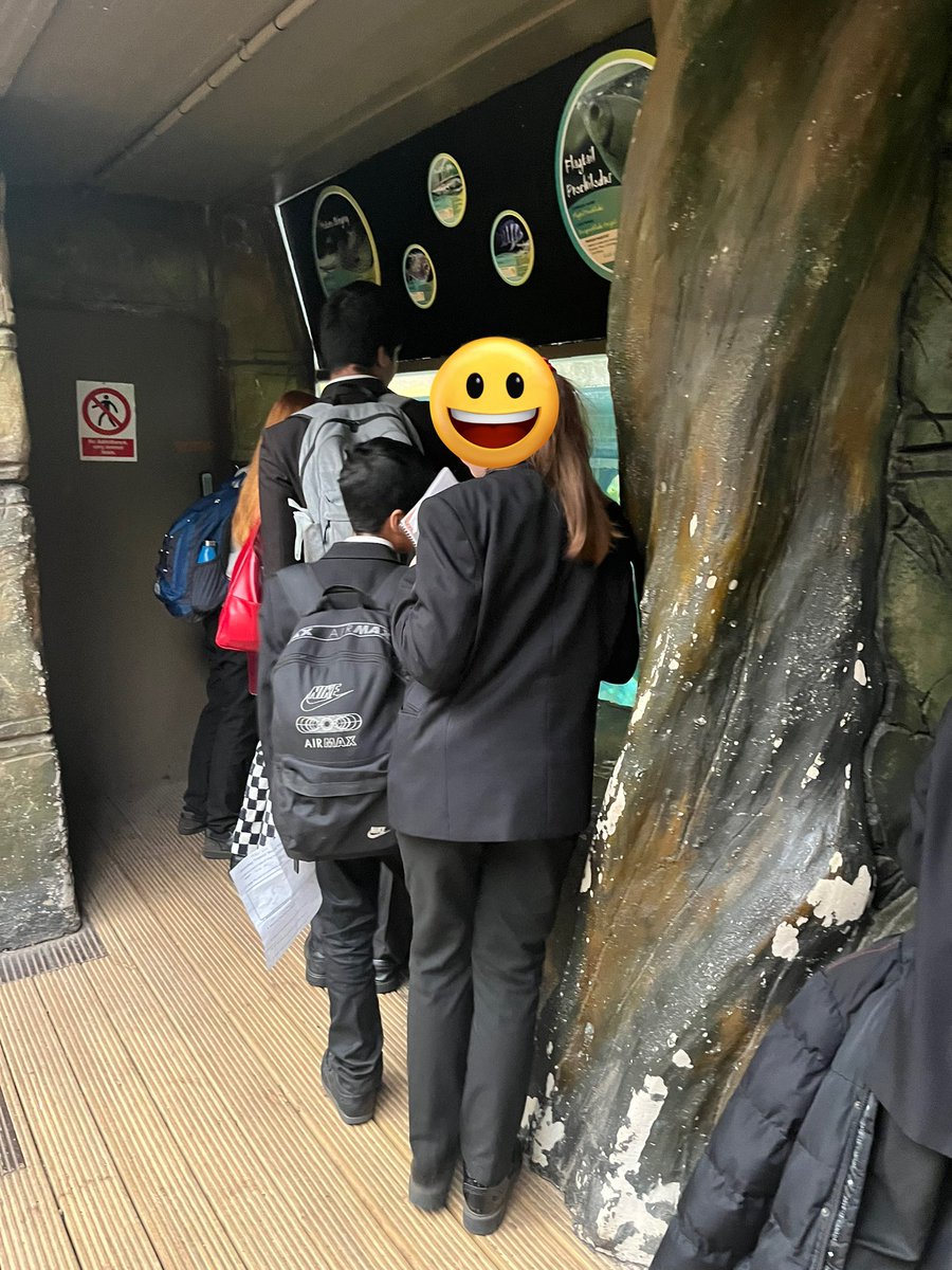 Roundhay Year 8 tweet media