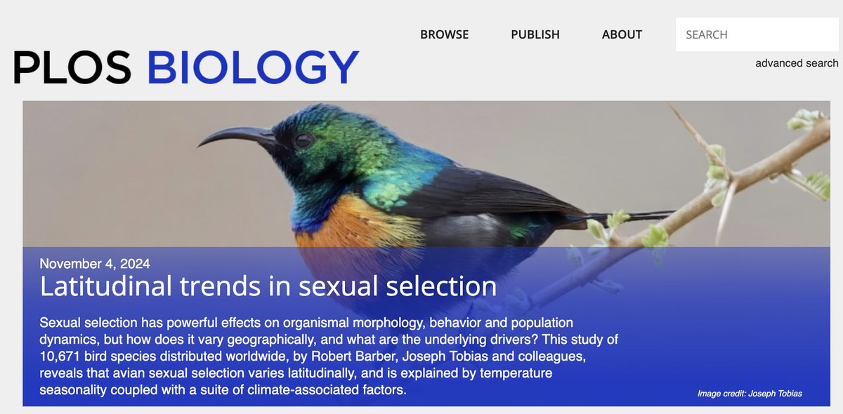 Joe Tobias (@ja_tobias) on Twitter photo Final version of this thing now published in <a href="/PLOSBiology/">PLOS Biology</a>, so ... some weekend reading. 🧵
Sexual selection (SS) is a major strand of evolutionary theory, but how and why it varies across species at global scales is poorly known. 1/9
journals.plos.org/plosbiology/ar… Final version of this thing now published in <a href="/PLOSBiology/">PLOS Biology</a>, so ... some weekend reading. 🧵
Sexual selection (SS) is a major strand of evolutionary theory, but how and why it varies across species at global scales is poorly known. 1/9
journals.plos.org/plosbiology/ar…