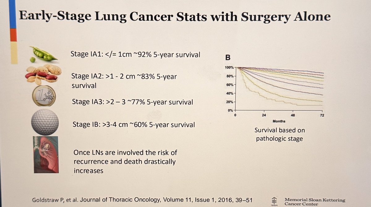 StephenVLiu's tweet photo. Dr. @ChaftJamie at #CFS24 reminds us how poor outcomes are even with early stage NSCLC. The storm of new approvals is translating to better outcomes. Huge impact of perioperative immunotherapy for driver negative, postoperative TKIs for EGFR/ALK NSCLC. Important to test here! https://t.co/1MEG4gl5Ry