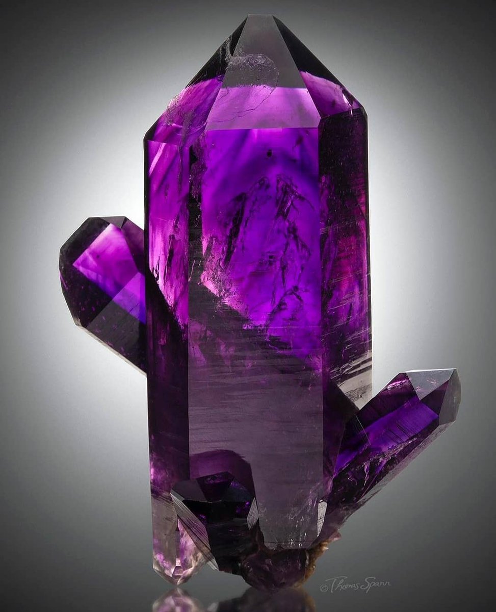 GeologyTime's tweet photo. Absolutely Gorgeous Amethyst From Goboboseb Mts, Erongo Reg, Namibia.

Photo  📷 Mineral Masterpiece https://t.co/tx5Onftn8K