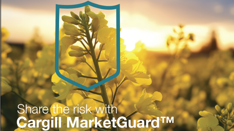 Manage risk on your canola &amp; feel secure in your grain marketing decisions by adding Cargill MarketGuard™ to your favourite canola seed. Cargill shares the risk so you can sleep easier. Learn how it works: bit.ly/4fv7e9L 
#GrainMarketing #CargillAg