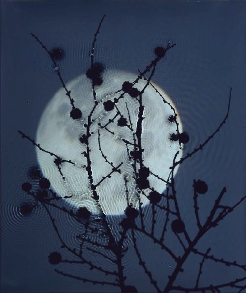 English photographic artist Susan Derges, the #FullMoon series, 2003, Derges submerges sheets of photographic paper in rivers, using a flashlight and the moon to create the exposure #womensart #November #FullMoon