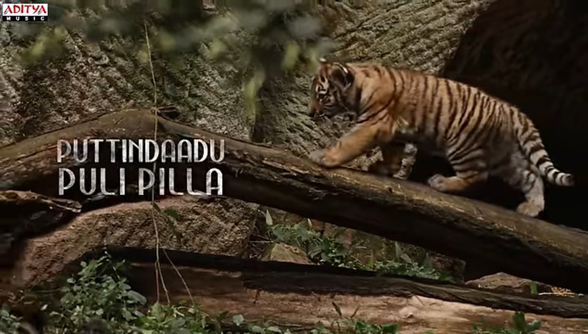 TrendsRohit's tweet photo. 🐅🐅 https://t.co/96TXAJ6nAQ