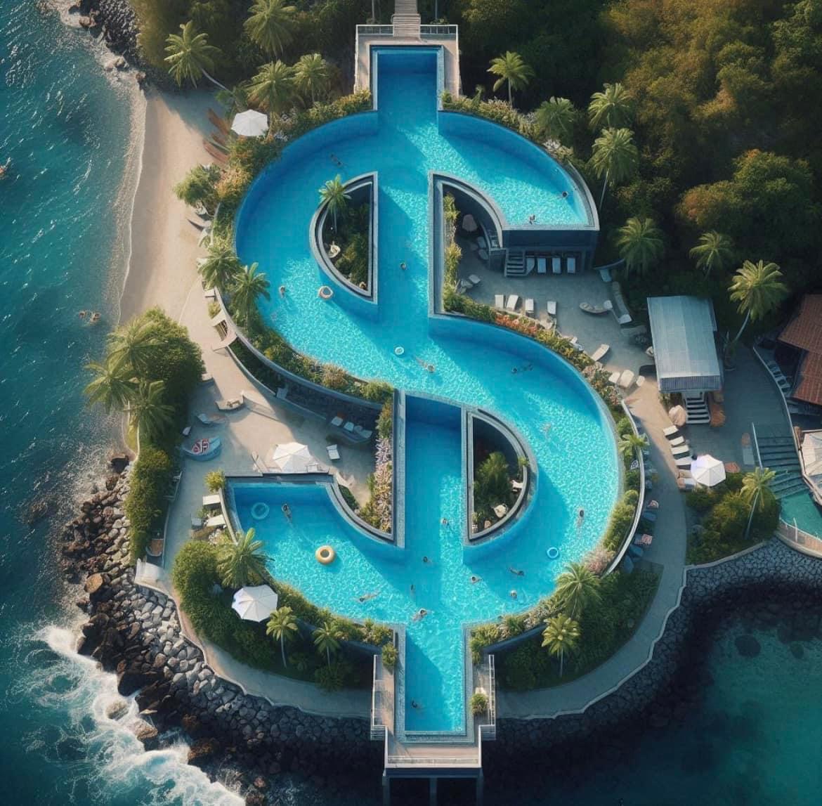 PoolPalm's tweet image. 