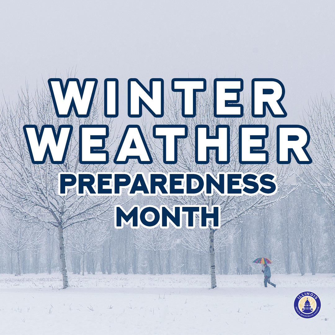 Senator Linda Holmes tweet media