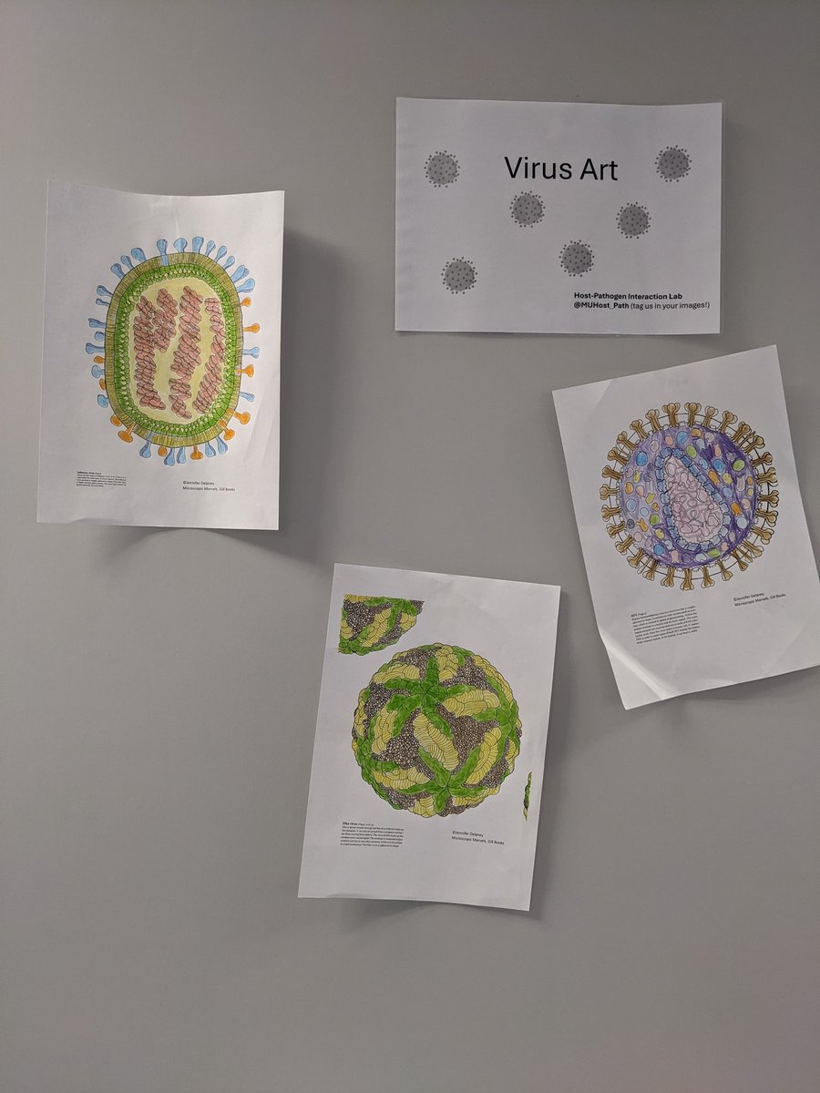 Dr Martina Schroeder (@muhost_path) on Twitter photo Getting ready for #scienceweek2024 open evening here <a href="/MaynoothBiology/">Maynooth Biology</a> with some virus art from <a href="/jvcdelaney/">Jennifer Delaney</a>'s Microscopic Marvels colouring book. Getting ready for #scienceweek2024 open evening here <a href="/MaynoothBiology/">Maynooth Biology</a> with some virus art from <a href="/jvcdelaney/">Jennifer Delaney</a>'s Microscopic Marvels colouring book.