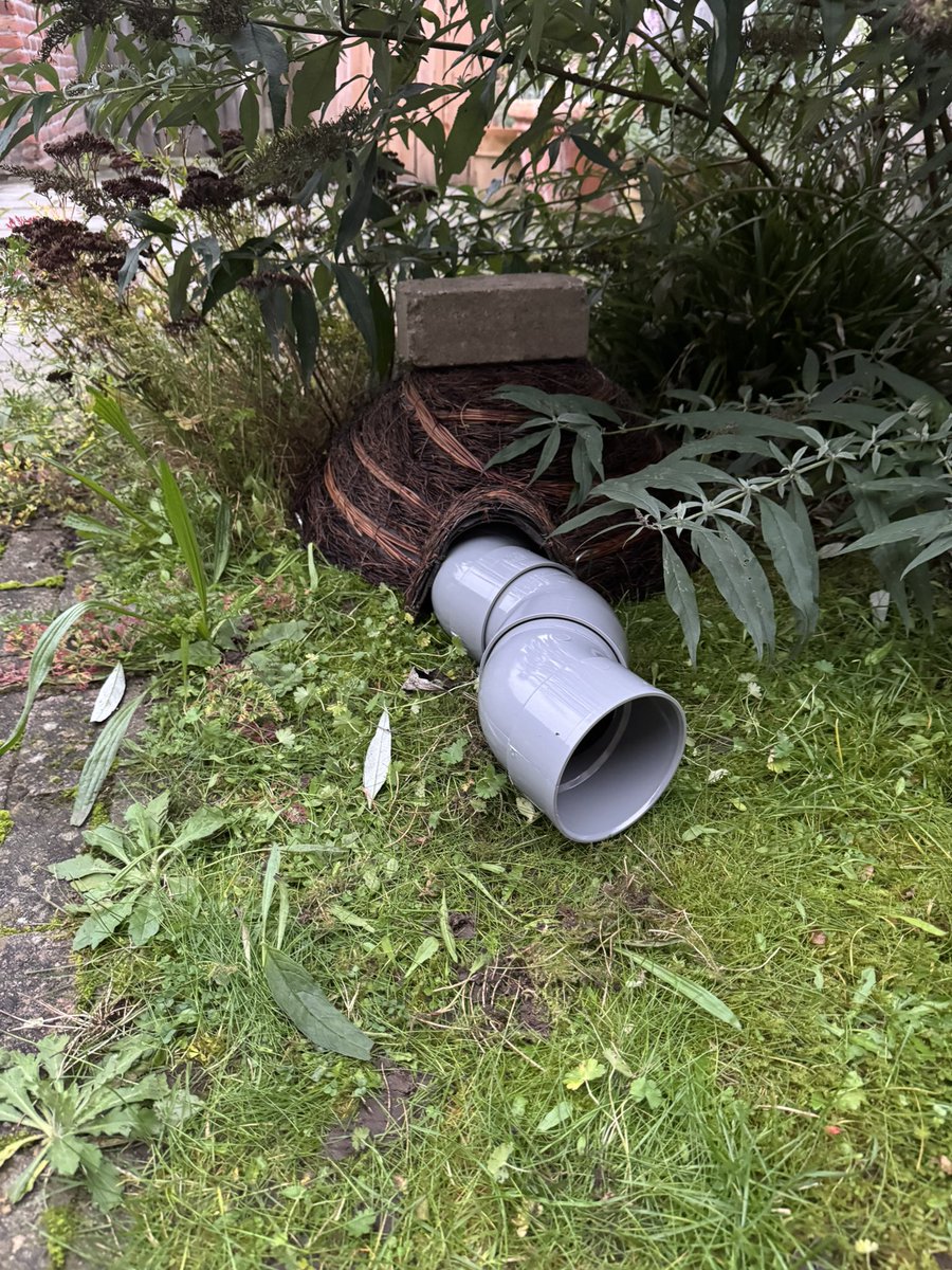 kimskinskipster's tweet photo. Sinds kort heb ik dagelijks in de avond en soms om 6 u smorgens bezoek van een egel. Heb een voedingshuisje gemaakt voor hem/haar. Morgen komt het egelhuis binnen. Geen idee of er dit jaar al een bewoner in gaat komen. Maar het is er alvast #helpdeegel #egels https://t.co/QVThgh7QKp