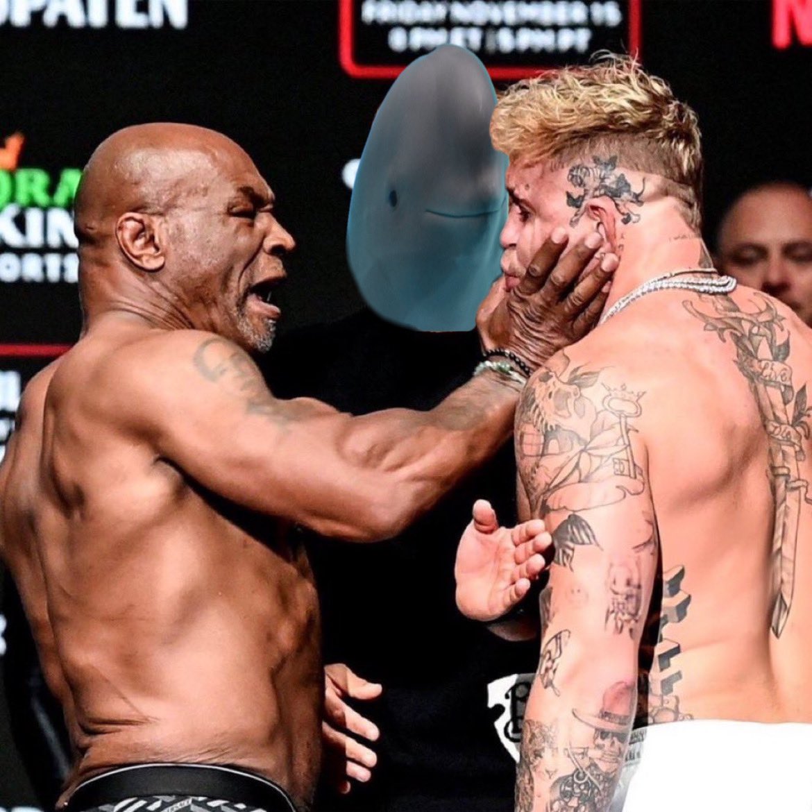 $HANBAO e/acc 🔱🏴‍☠️🌊 tweet media