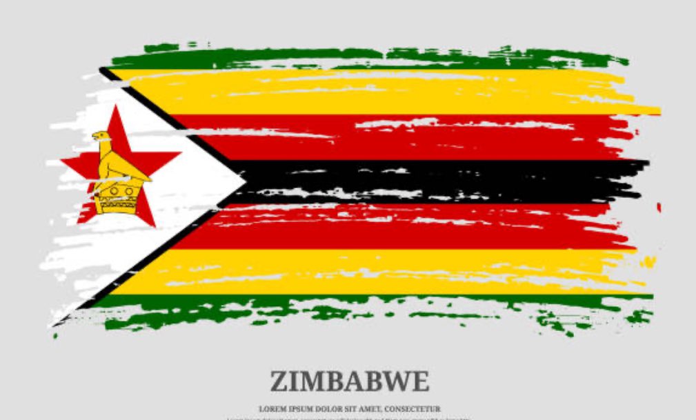 🔸CONGRATULATIONS to the ZIMBABWE Warriors for qualifying for AFCON! We are extremely proud of you! Well done to Kenya for a spirited performance and for being good sports. #TeamZimbabwe🇿🇼🇿🇼🇿🇼🇿🇼🇿🇼🇿🇼