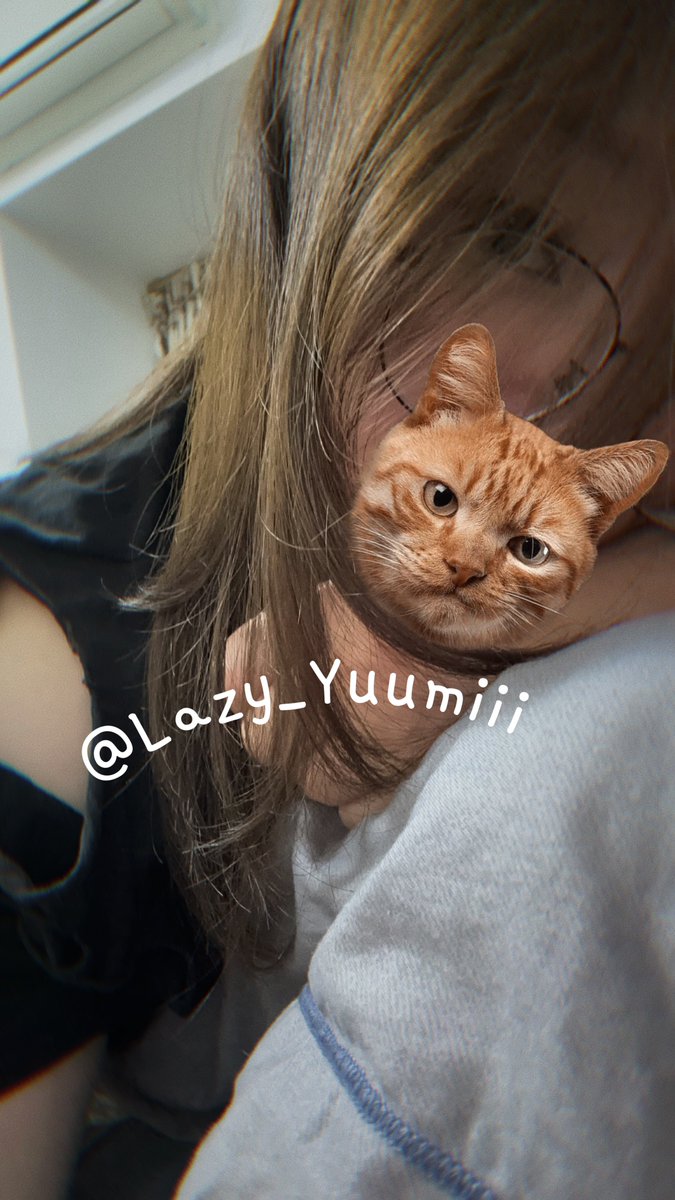 lazy_yuumiii's tweet photo. 網速慢得快睡著…🥱
又沒人跟我愛愛…💔
又沒玩具可以玩…🥒
我好想回澳門啊…🇲🇴

#睡覺了😪煩悶 https://t.co/JCH1TvSijH