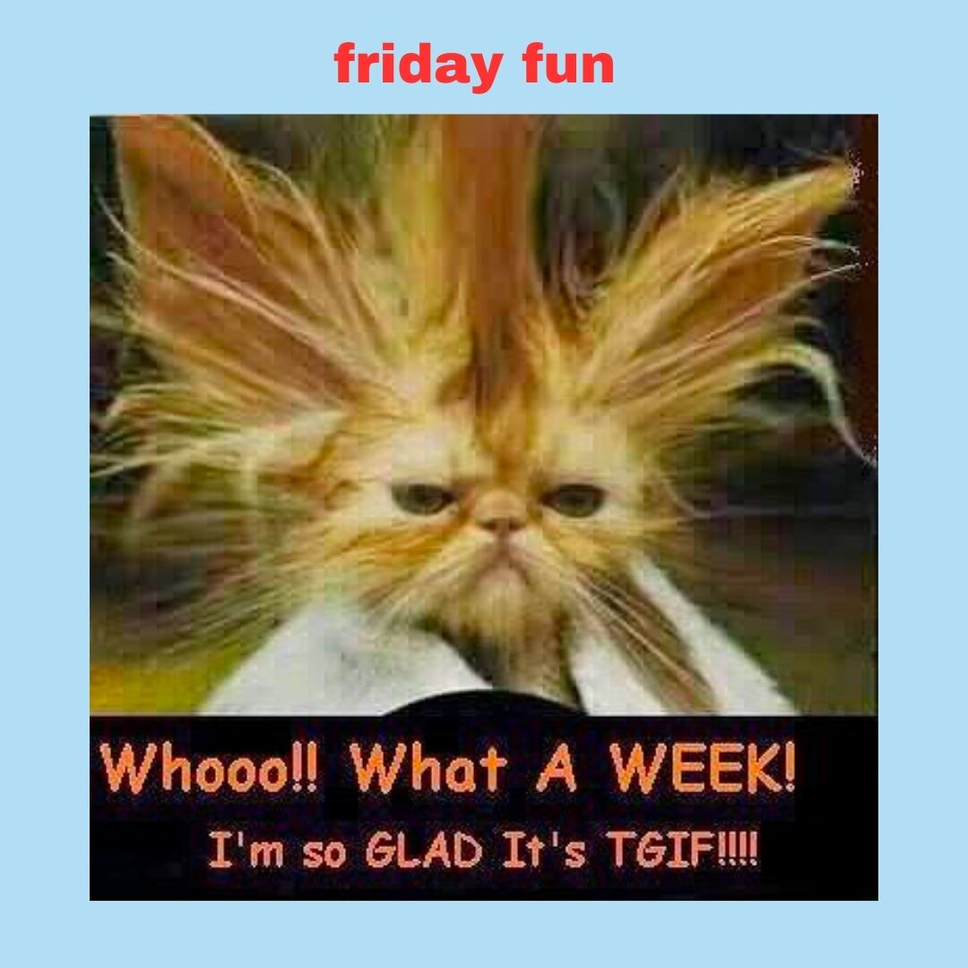 Friday Fun... is that a cat or a Gremlin?

Still time to book your Holiday Party... but you're cutting it close!!! 

Engagement Unlimited... where Engagement Meets Fun!