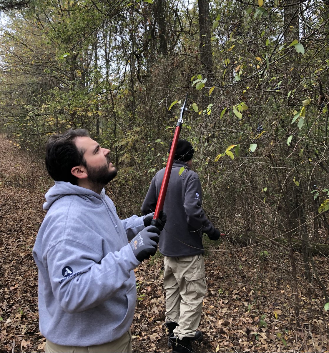 AmeriCorpsNCCC's tweet image. Happy #ServiceSpotlight🎉! This week our @AmeriCorps members serving with NCCC are at Lake Charles State Park in Arkansas prepping the grounds to plant native wild flowers and clearing trails by cutting back tree limbs. Our @AmeriCorpsNCCC members are #GettingThingsDone in Ark!