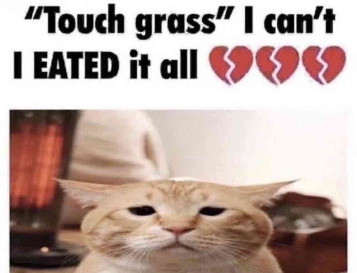 LimboKeyFacts's tweet image. The Blue Limbo Key can't touch grass because they eated it all