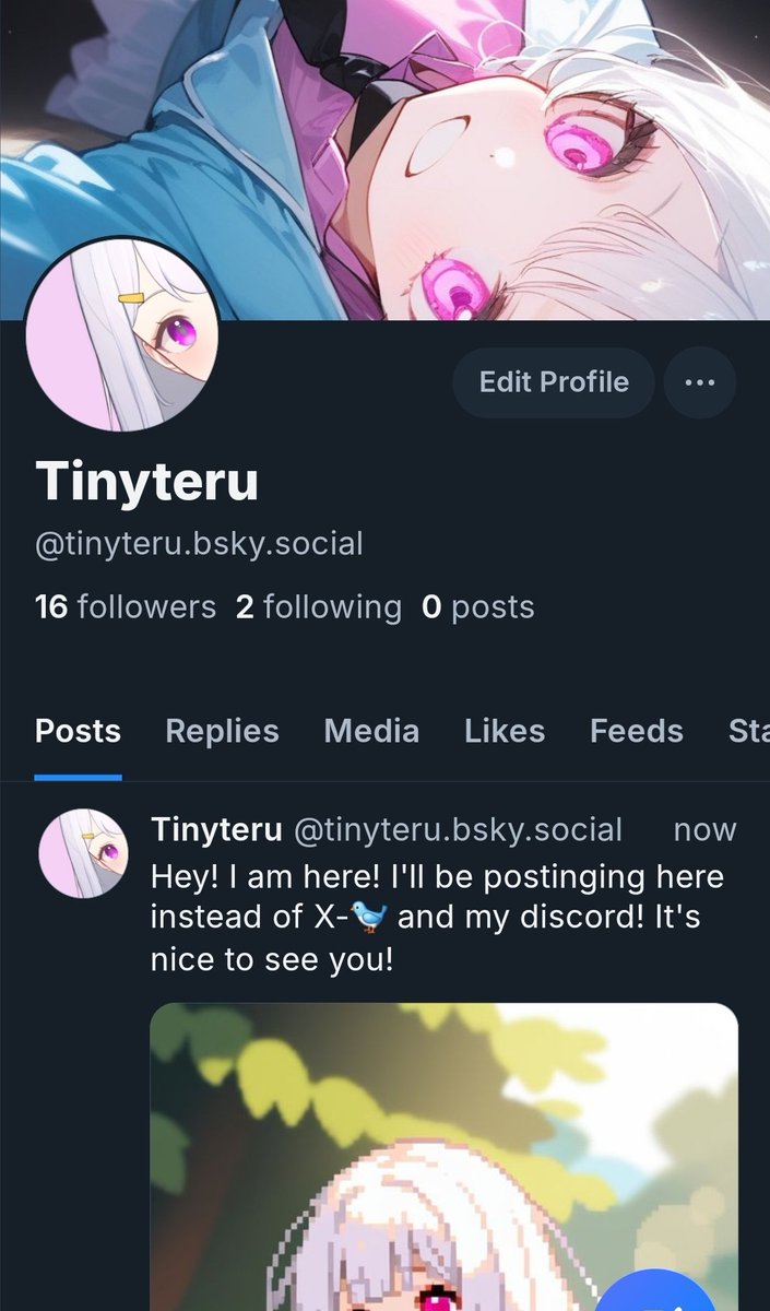TinyTeru tweet media