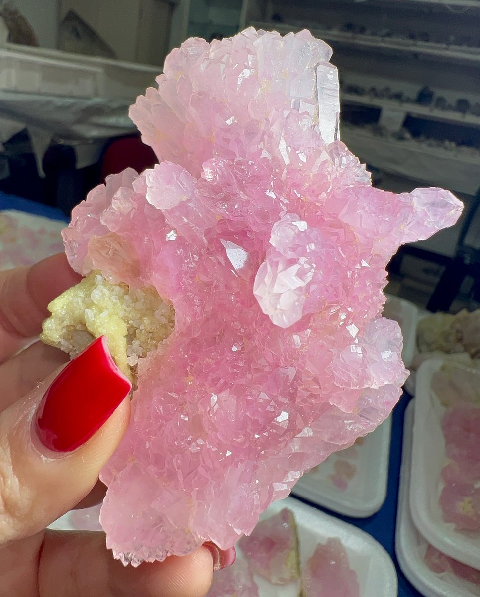 GeologyTime's tweet photo. Rare Crystallized Rose Quartz FROM Brazil

Photo: Badin Stones Brazil https://t.co/Dp5YP3RRUJ