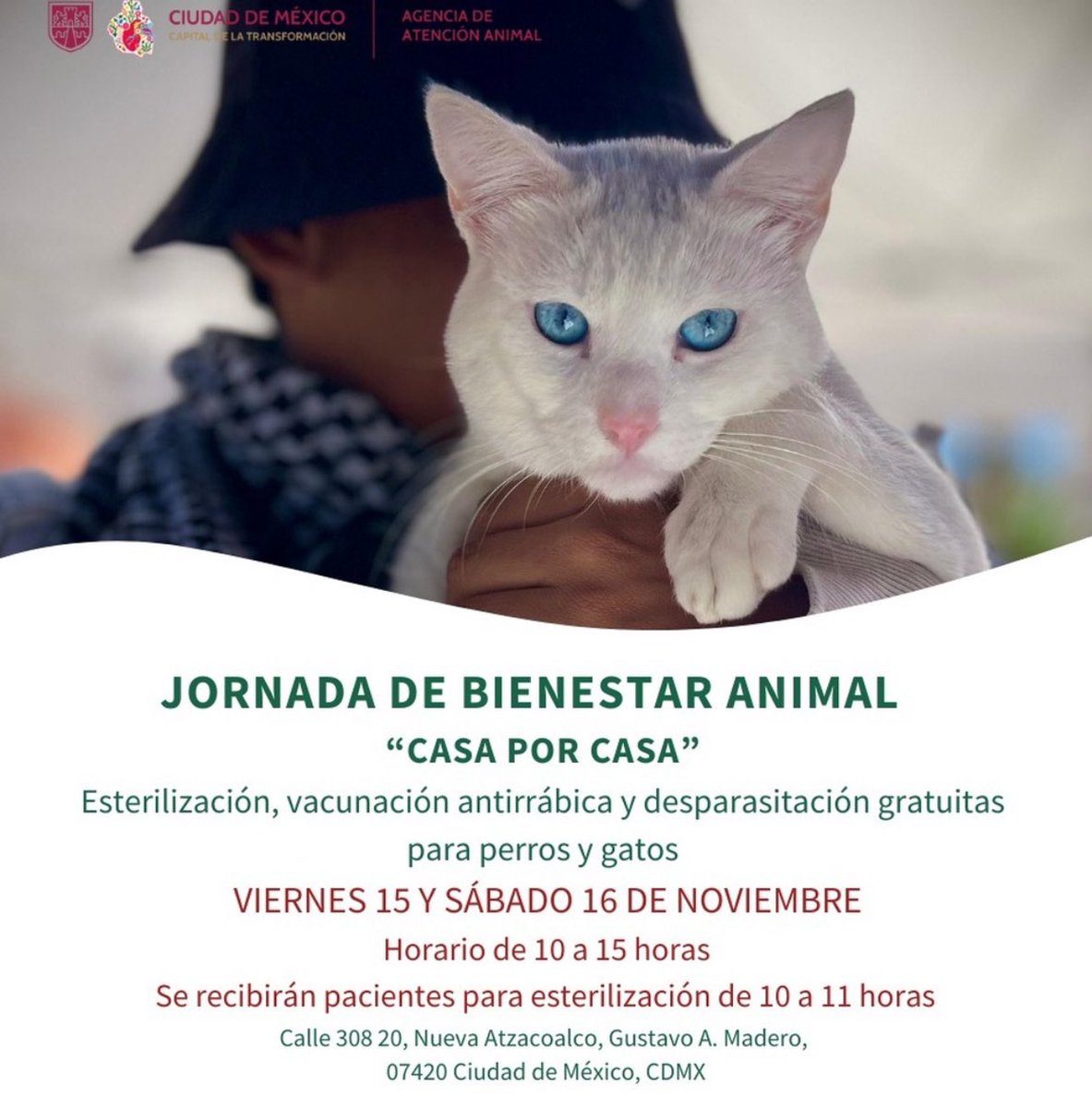 En las Jornadas de #CasaXCasa todos los viernes y sábados de 9 am a 2 pm estaremos : 
👉🏽 ESTERILIZANDO 
👉🏽vacunando 
👉🏽desparasitando 

Hoy en la Colonia Nueva Atzacoalco
GAM 
<a href="/ClaraBrugadaM/">Clara Brugada Molina</a> <a href="/Jualicra/">Julia Álvarez Icaza Ramírez</a> <a href="/tomaspliegoc/">Tomás Pliego</a> <a href="/AgatanCdmx/">Agencia de Atención Animal</a>