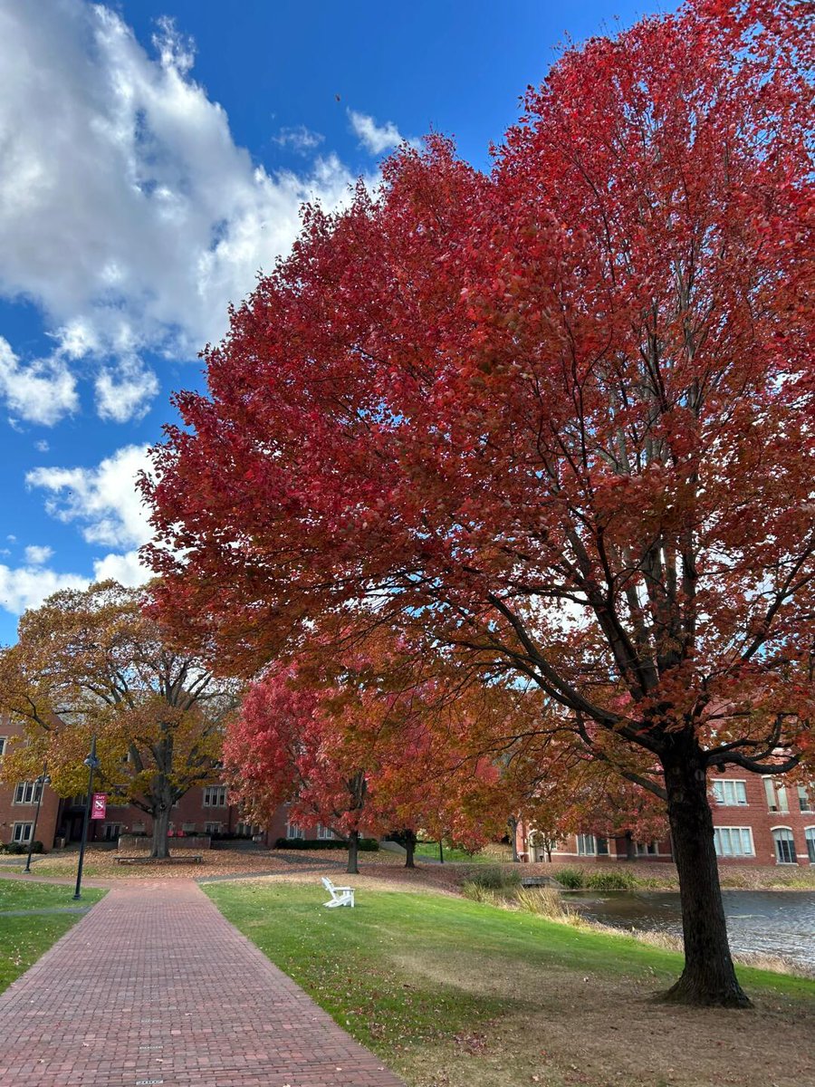 TN7819's tweet photo. The splendor of autumn, accompanied by the breeze and falling leaves, stroll together on this quiet path and feel the poetry of nature.
#autumn #leavesfall #naturalbeauty #autumnstroll https://t.co/DndXaH5BE3