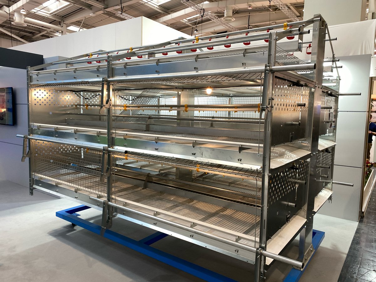 Potters Poultry tweet media