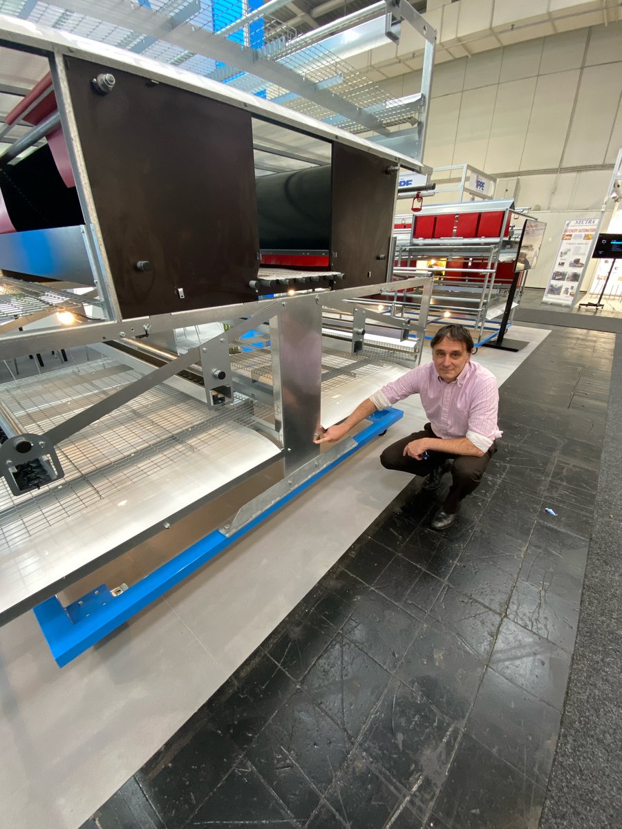 Potters Poultry tweet media