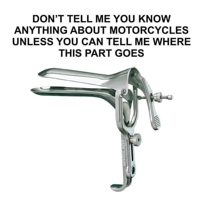 MimiLisa 2.0 tweet media