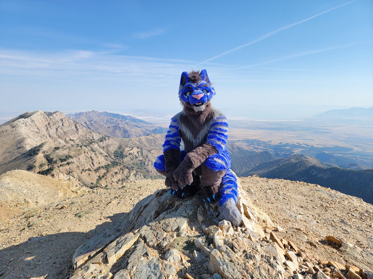 ❄Atticus Frost❄ (@atticus_frost) on Twitter photo Hello! I'm a big blue tiger, and perching on top of very tall things is my specialty! Any questions?
##FursuitFriday #Fursuit #Furry #Tiger #Nature #Mountain
🪡: <a href="/TokaiSuiting/">Tokai Suiting</a> Hello! I'm a big blue tiger, and perching on top of very tall things is my specialty! Any questions?
##FursuitFriday #Fursuit #Furry #Tiger #Nature #Mountain
🪡: <a href="/TokaiSuiting/">Tokai Suiting</a>
