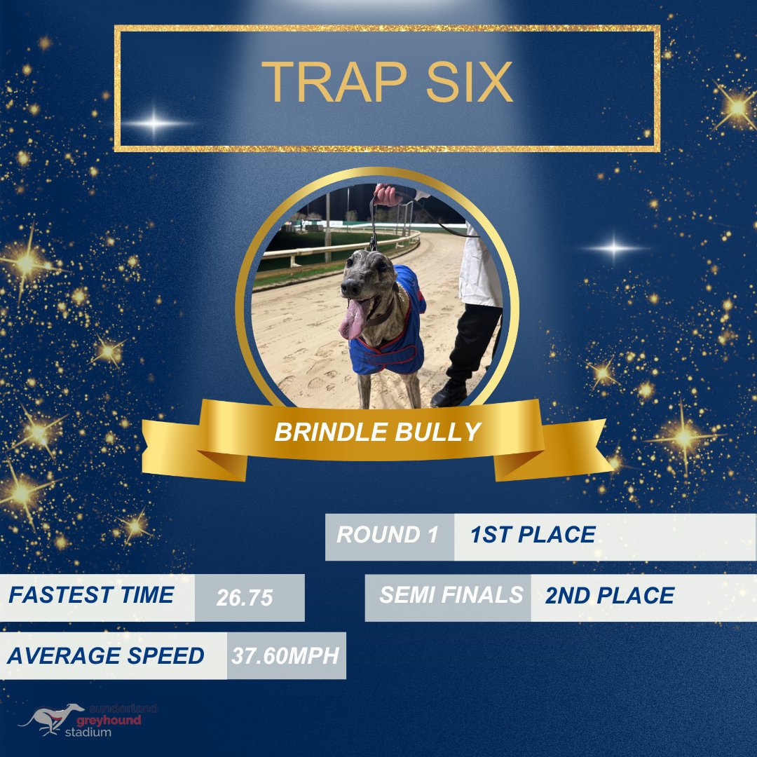 <a href="/PremGreyRacing/">Premier Greyhound Racing</a> <a href="/arenaracingco/">ARC</a> <a href="/LinkKennels/">Tom Heilbron - Link Kennels</a> @perrybarrdogs 🔲 TRAP SIX 🔲

Brindle Bully 🐾

Trainer: David Mullins
Owner: B.B Syndicate

Runs 1⃣5⃣ / Wins 8⃣

🏆 Silver Standard champion and one of our longest travellers this evening coming all the way from Essex!

#SunderlandDogs 🐾