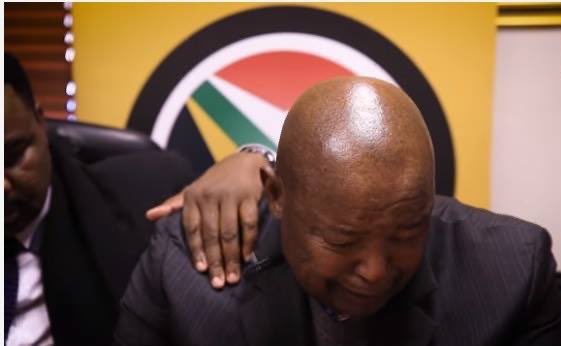 Thuso1Africa's tweet image. Situation at the homes of xenophobic South Africans at this very moment vs how Chidimma shines at the world stage