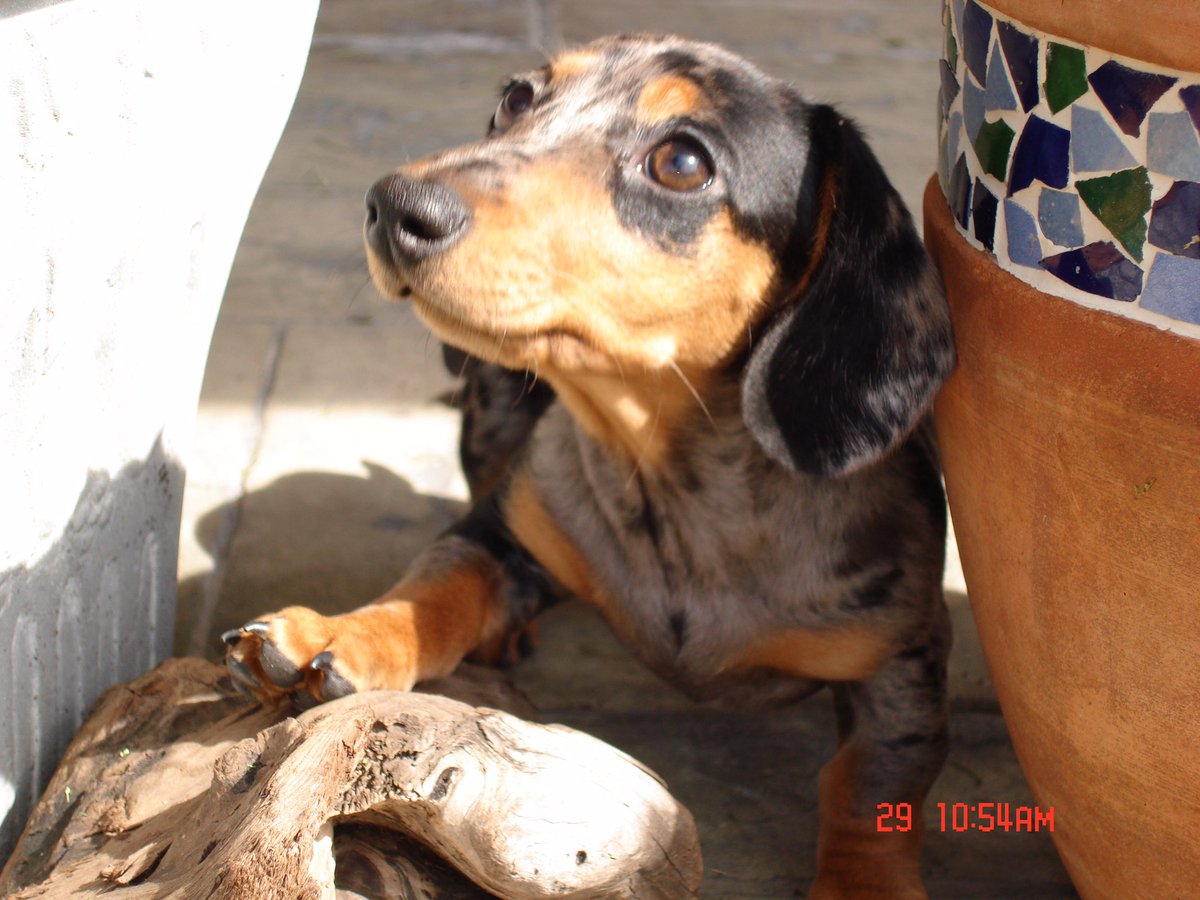 Lisanne Glavich-Feral Until Further Notice tweet media