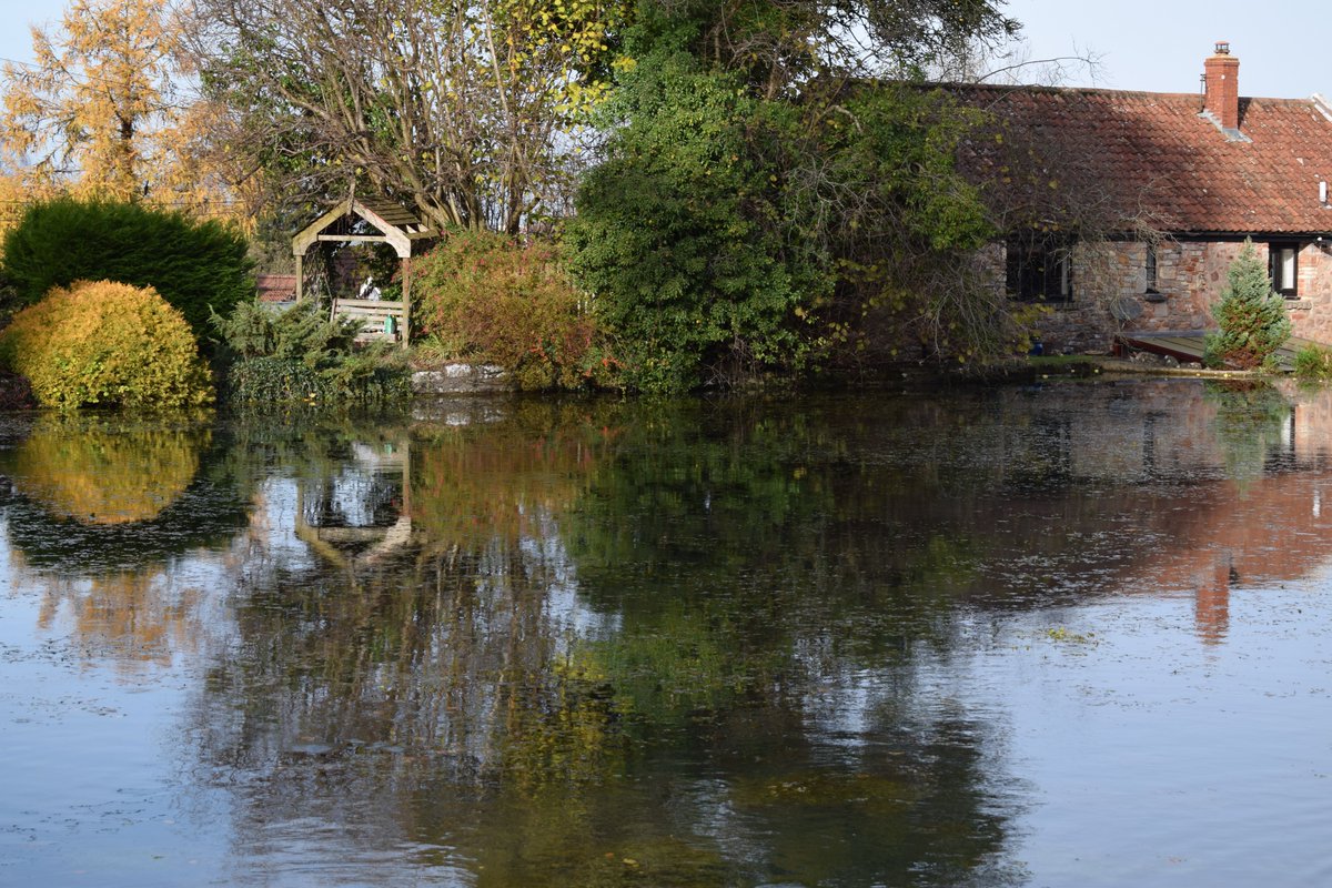“No hacemos más en la vida que ir buscando el lugar donde quedarnos para siempre…” (José Saramago)
Fernando Ruz (@Chileangarden): Ojalá 
👇🏽👇🏽👇🏽
chileangarden.blogspot.com/2020/11/ojala.…