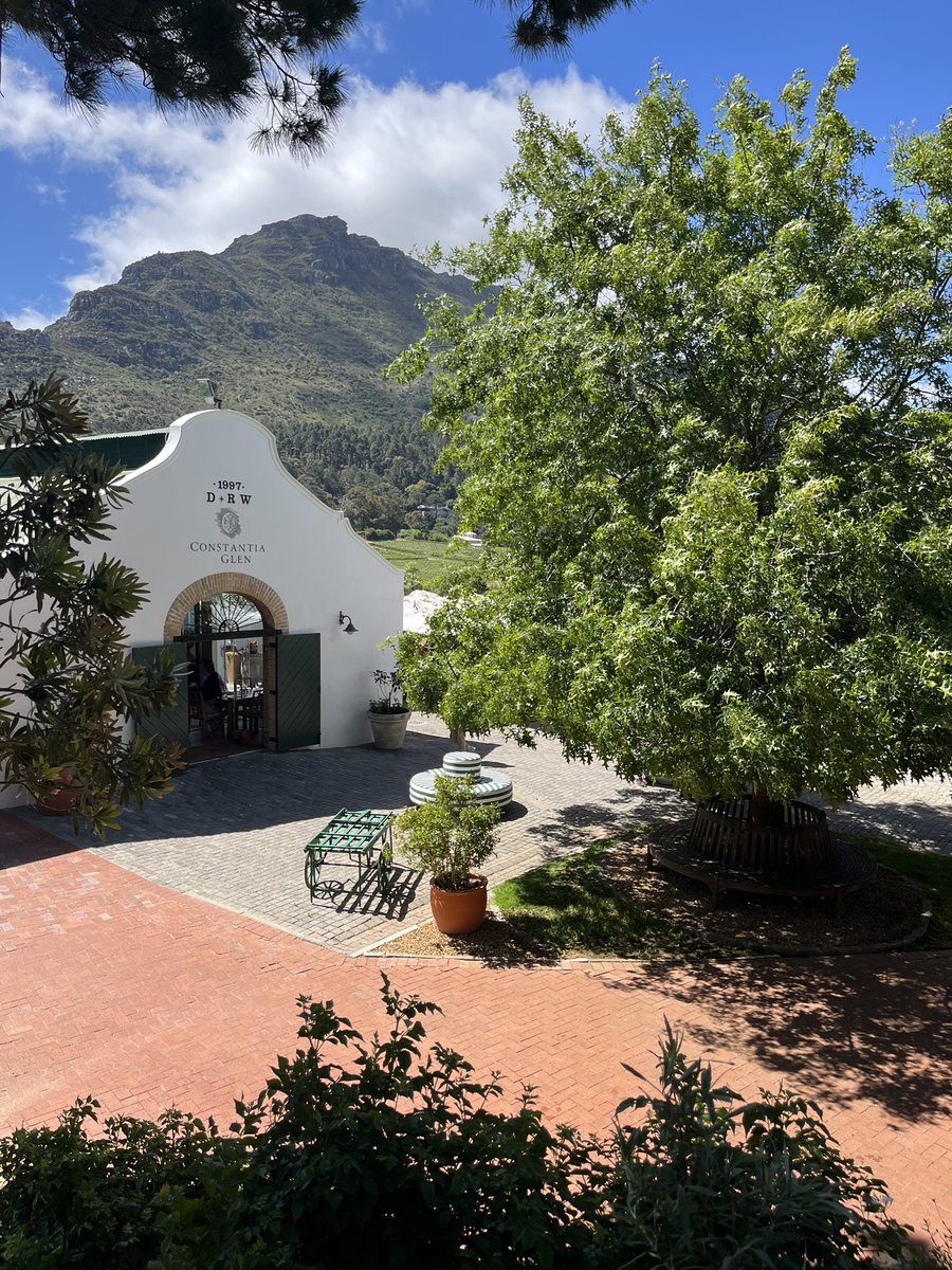 AD92EL's tweet photo. 🤤Constantia Glen https://t.co/LezZuhSMDL