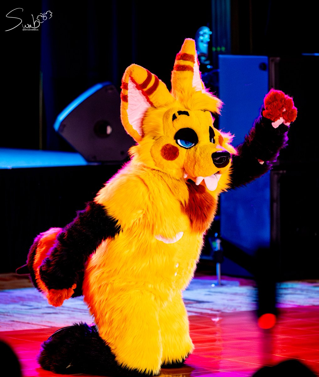 DrSwablu's tweet photo. Dipper your suit is sooo adorable and your set at #aquatifur2024 just as adorable!! Keep up the awesome work!! :3
๐ธ: @drswablu (me)
๐พ @Trixipper
#Aqf2024 #Aquatifur #furry #dancecomp https://t.co/zAoYj3d361