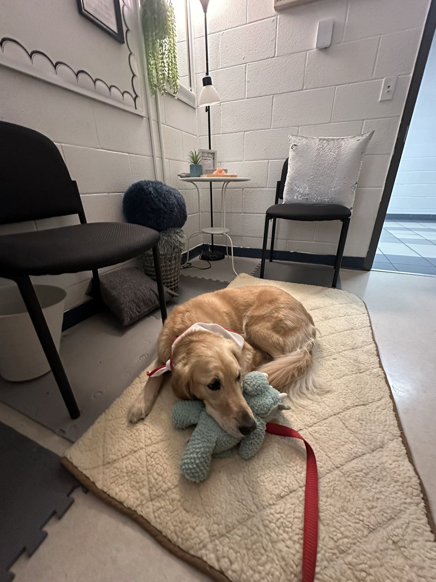 Gracie had an amazing morning with some friends at <a href="/GAngelsMilton/">Guardian Angels</a> 🐾✏️📚 so thankful for these mindful moments!