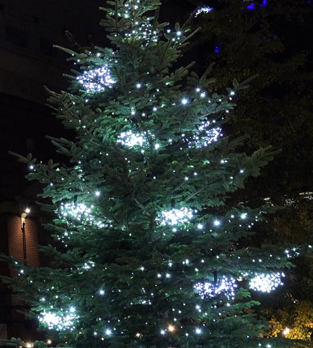 Zeba Arif (@zebaarif) on Twitter photo I have a confession, dear folks.
It is November 15th.
And I am all Christmassed out....😭
Mostly by the incessant TV Christmas ads.
So, the rationale of The Bird Watcher <a href="/Waitrose/">Waitrose & Partners</a>?
A selfish man denying a morsel of what's obviously a yummy turkey to a pleading kitty 😿 Sheesh. I have a confession, dear folks.
It is November 15th.
And I am all Christmassed out....😭
Mostly by the incessant TV Christmas ads.
So, the rationale of The Bird Watcher <a href="/Waitrose/">Waitrose & Partners</a>?
A selfish man denying a morsel of what's obviously a yummy turkey to a pleading kitty 😿 Sheesh.