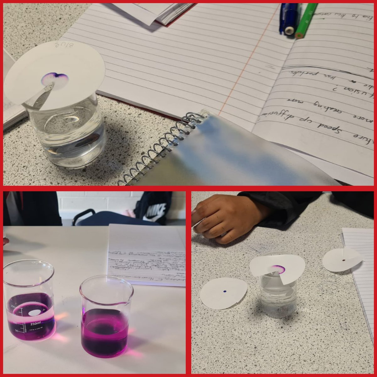 lawnswoodschool's tweet image. Y7 Scientists have been investigating diffusion #PracticalScience